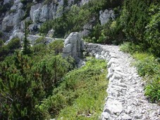 Predlani obnovljena kamnita gradbena mojstrovina Premužićeva pot vas popelje do najbolj divjih predelov Narodnega parka Severni Velebit.